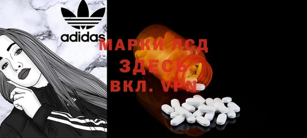 прущие грибы Абинск