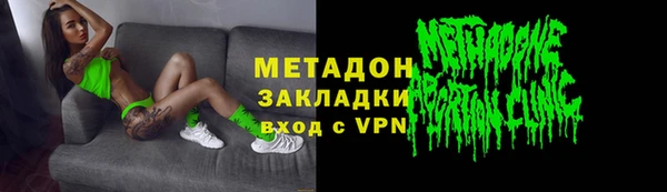 прущие грибы Абинск