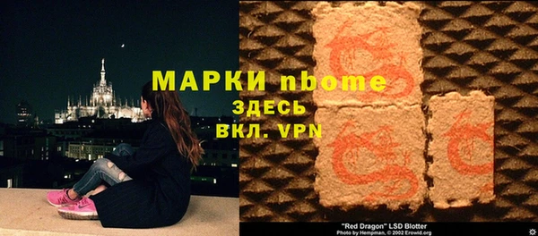 прущие грибы Абинск