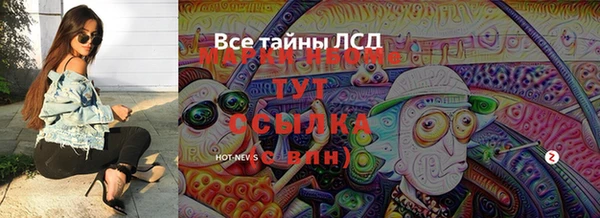 прущие грибы Абинск