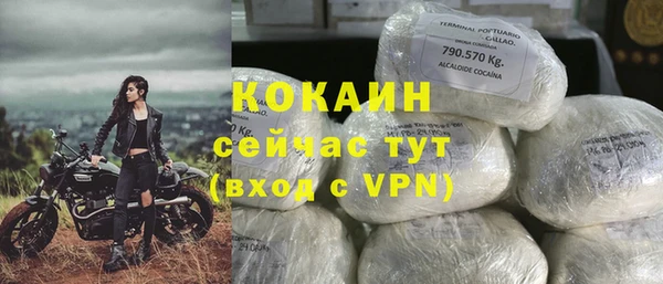 прущие грибы Абинск