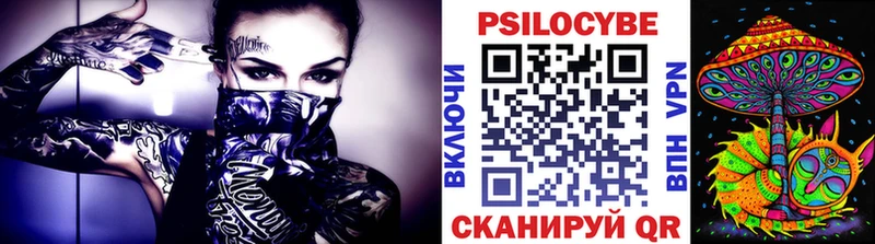 Галлюциногенные грибы Psilocybe  Трубчевск 