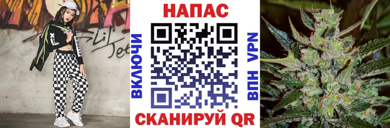 наркота  Трубчевск  Каннабис марихуана 
